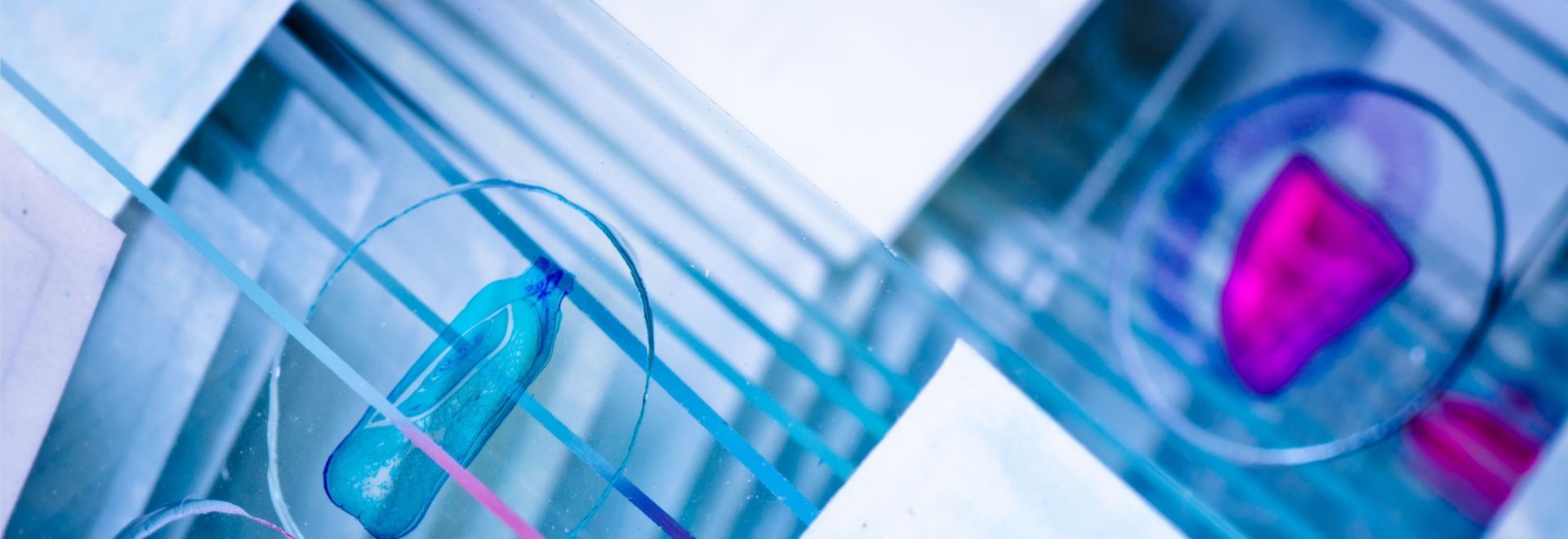 professional pathology services